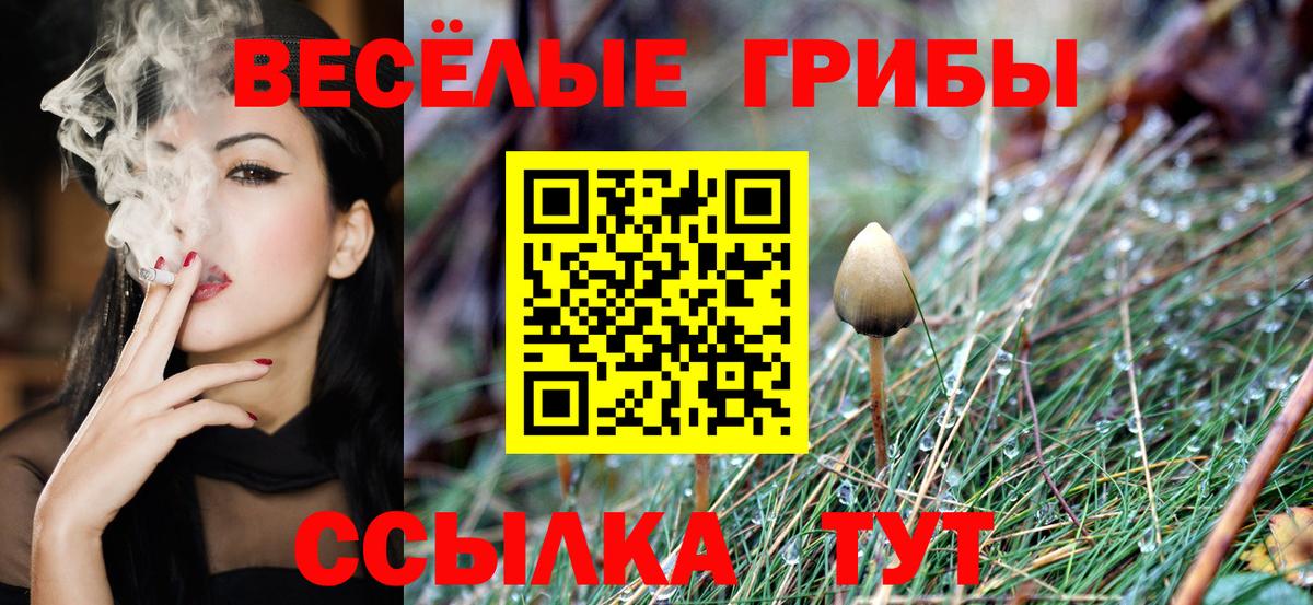 Галлюциногенные грибы Cubensis  Псилоцибиновые грибы прущие грибы  закладки  Мытищи  Вход с VPN 